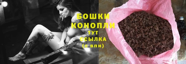 прущий лед Инсар
