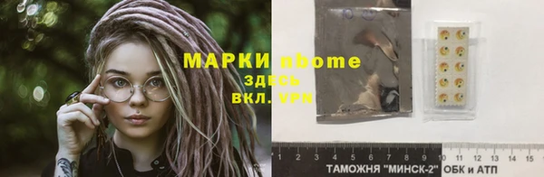 прущий лед Инсар