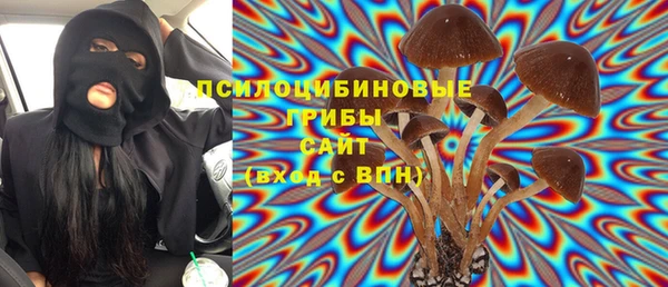 прущий лед Инсар