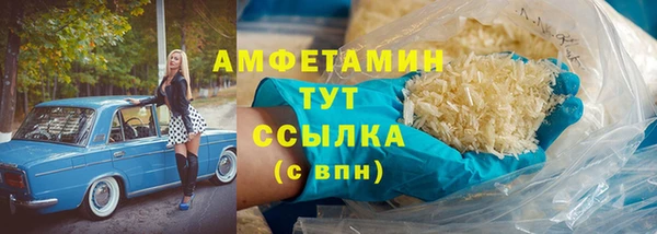 прущий лед Инсар