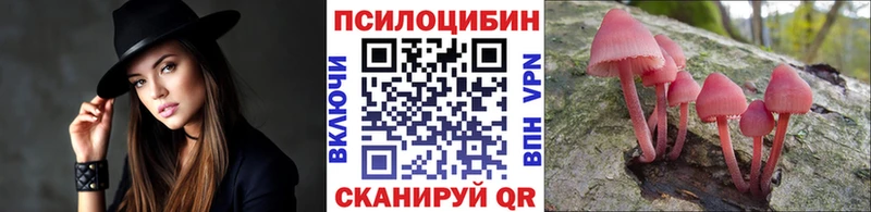 Галлюциногенные грибы мухоморы  Купить закладки  Дюртюли 